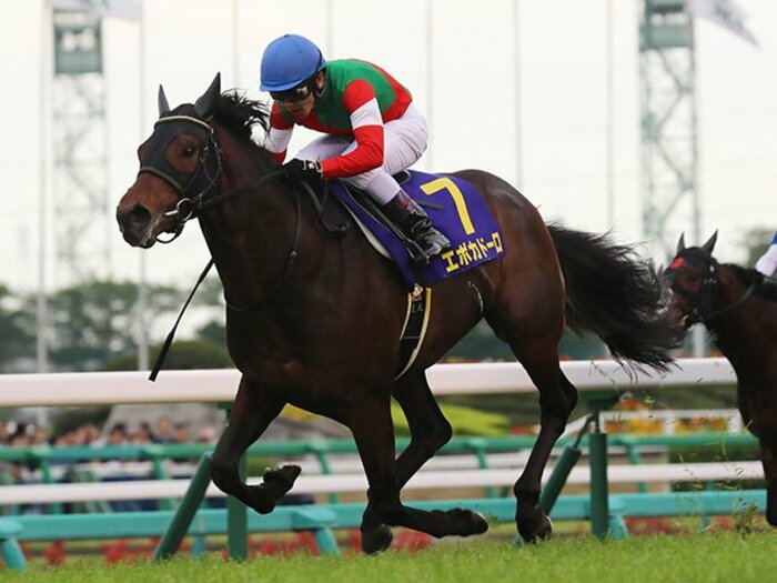 珍しい展開の皐月賞を完全勝利。エポカドーロが乗った2つの流れ。<Number Web> photograph by Yuji Takahashi