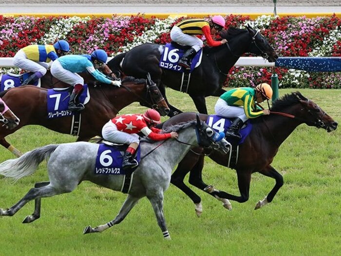 直線の明暗を分けた隙間のない壁。安田記念制したサトノアラジンの幸運。＜Number Web＞ photograph by Yuji Takahashi