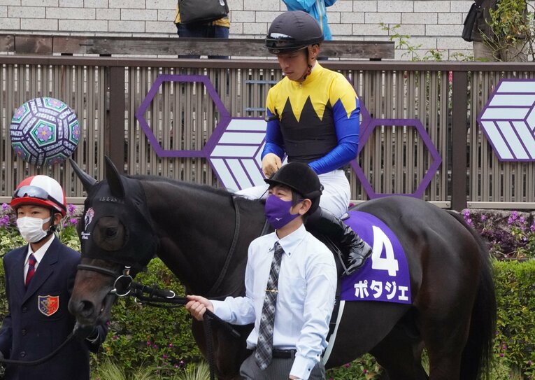 天皇賞・秋出走時のポタジェ　©Satoshi Hiramatsu