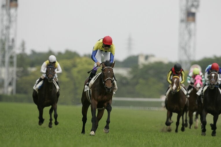 第72回（1995年）日本ダービーを制したディープインパクトと武豊　©︎Tomohiko Hayashi