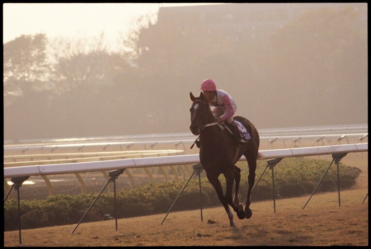 トウカイテイオー／1988年生まれ［父］シンボリルドルフ［母］トウカイナチュラル［生産］長浜牧場［馬主］内村正則［調教師］松元省一（栗東）［通算成績］12戦9勝［主な勝鞍］'91皐月賞（GI）'91東京優駿（GI）'92ジャパンC（GI）'93有馬記念（GI）©️Tomohiko Hayashi