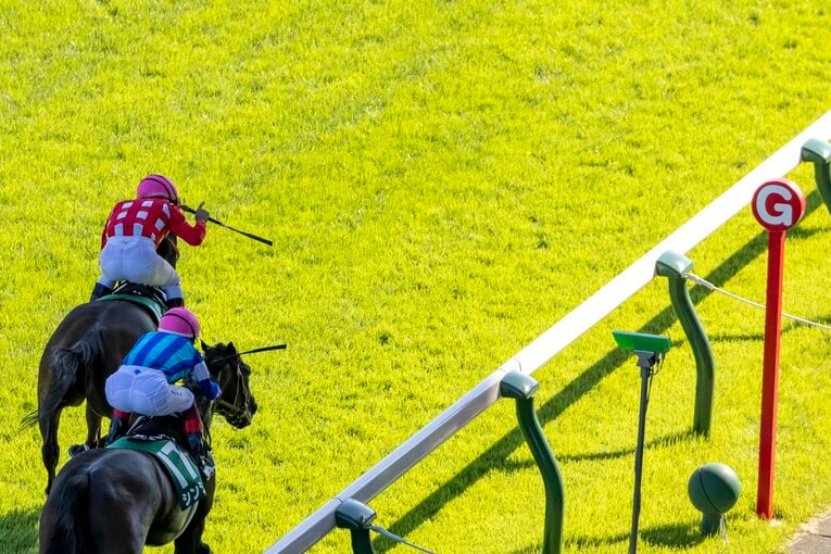 アイビスサマーダッシュを制したビリーバー ／ photograph by photostud