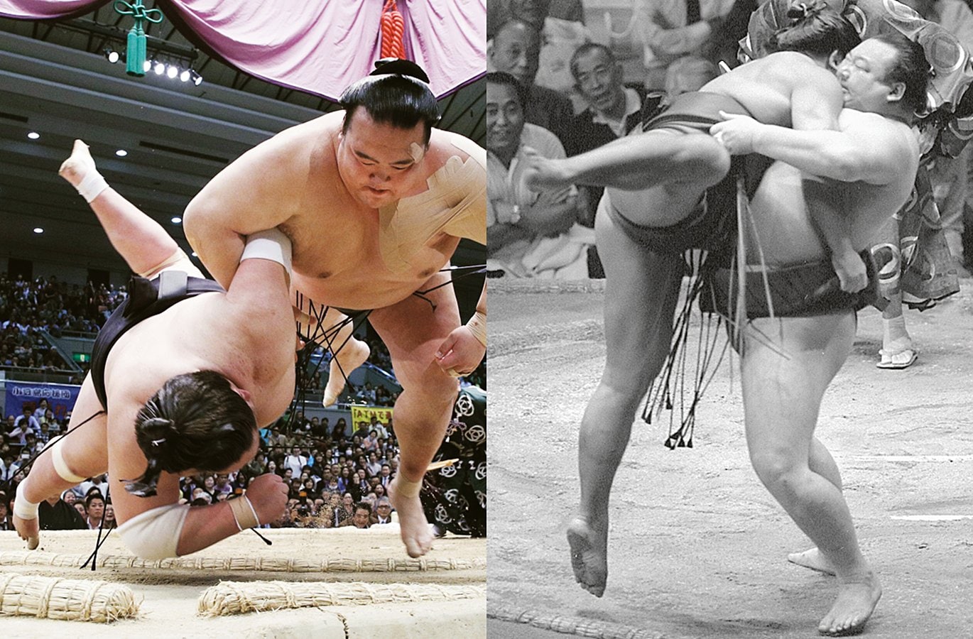 十四代　龍月　2019年11月詰め‼️ 早い者勝ち 十四代 龍月 2019年11月詰め‼️ 早い者勝ち 十四
