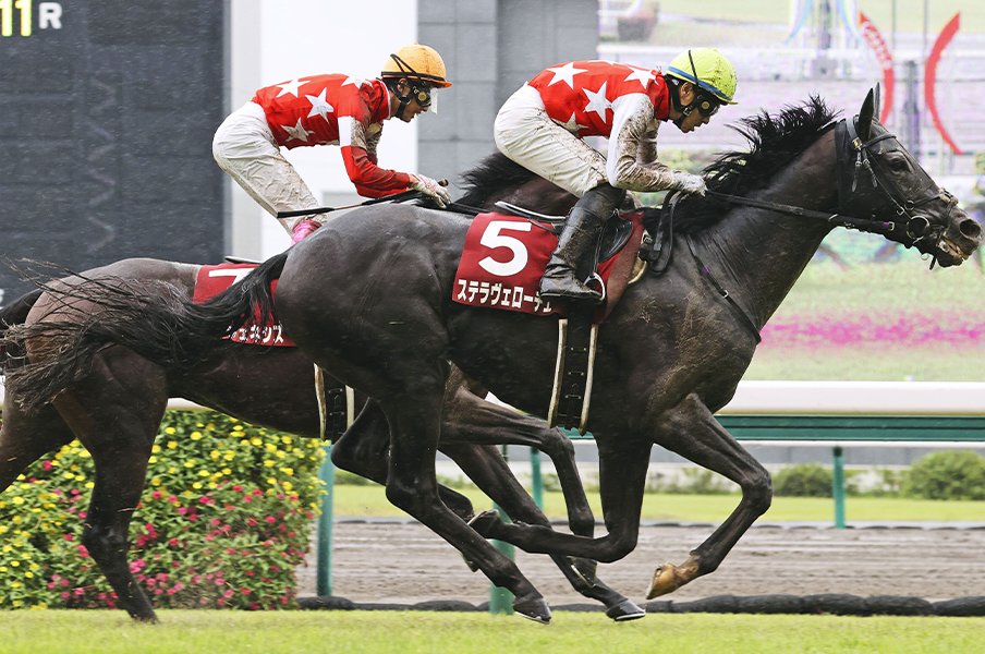 「クロノジェネシスと同じく…」ステラヴェローチェは“道悪専門”ではなく“馬場不問”! 73年ぶり快挙を狙う牝馬も侮れない【菊花賞】<Number Web> photograph by KYODO