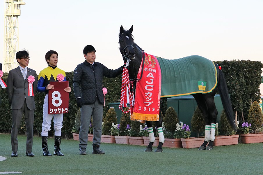 シャケトラと角居調教師、石橋脩。それぞれ逆境を乗り越えた復活劇。<Number Web> photograph by Satoshi Hiramatsu