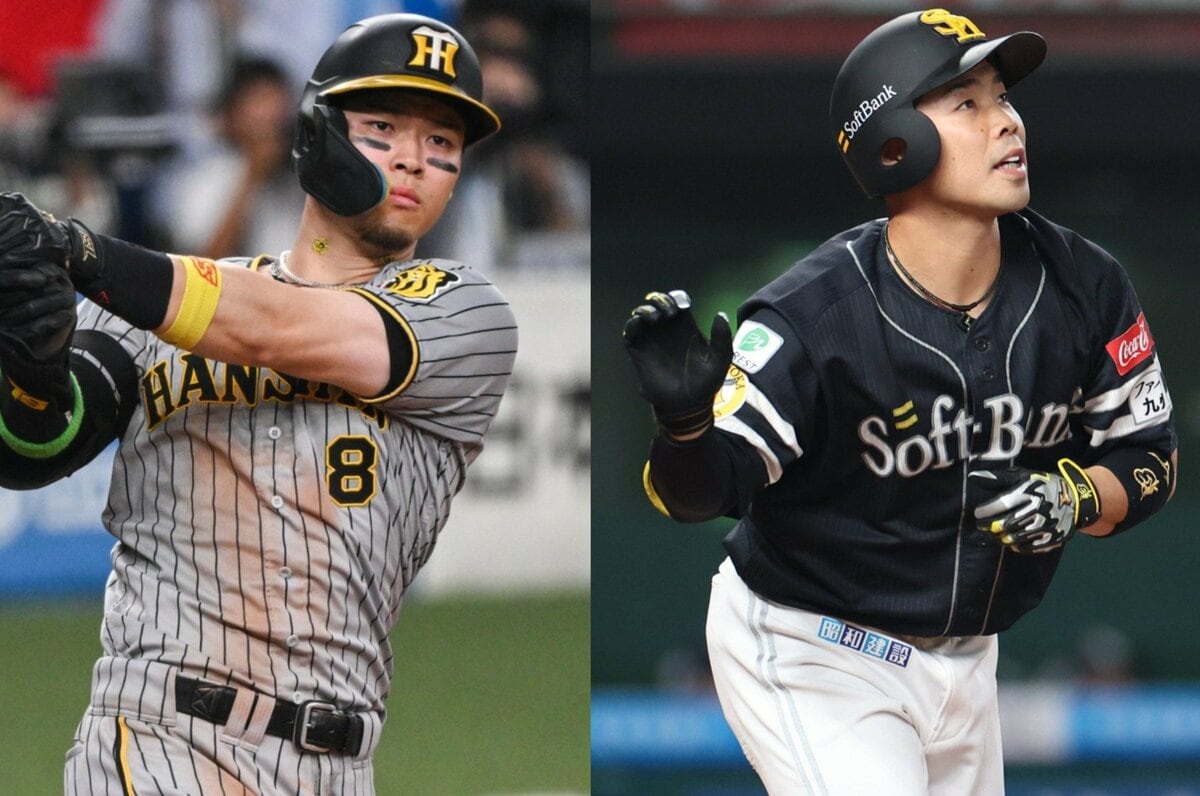北海道日本ハムファイターズ 近藤健介 実使用バット 支給品 NPB