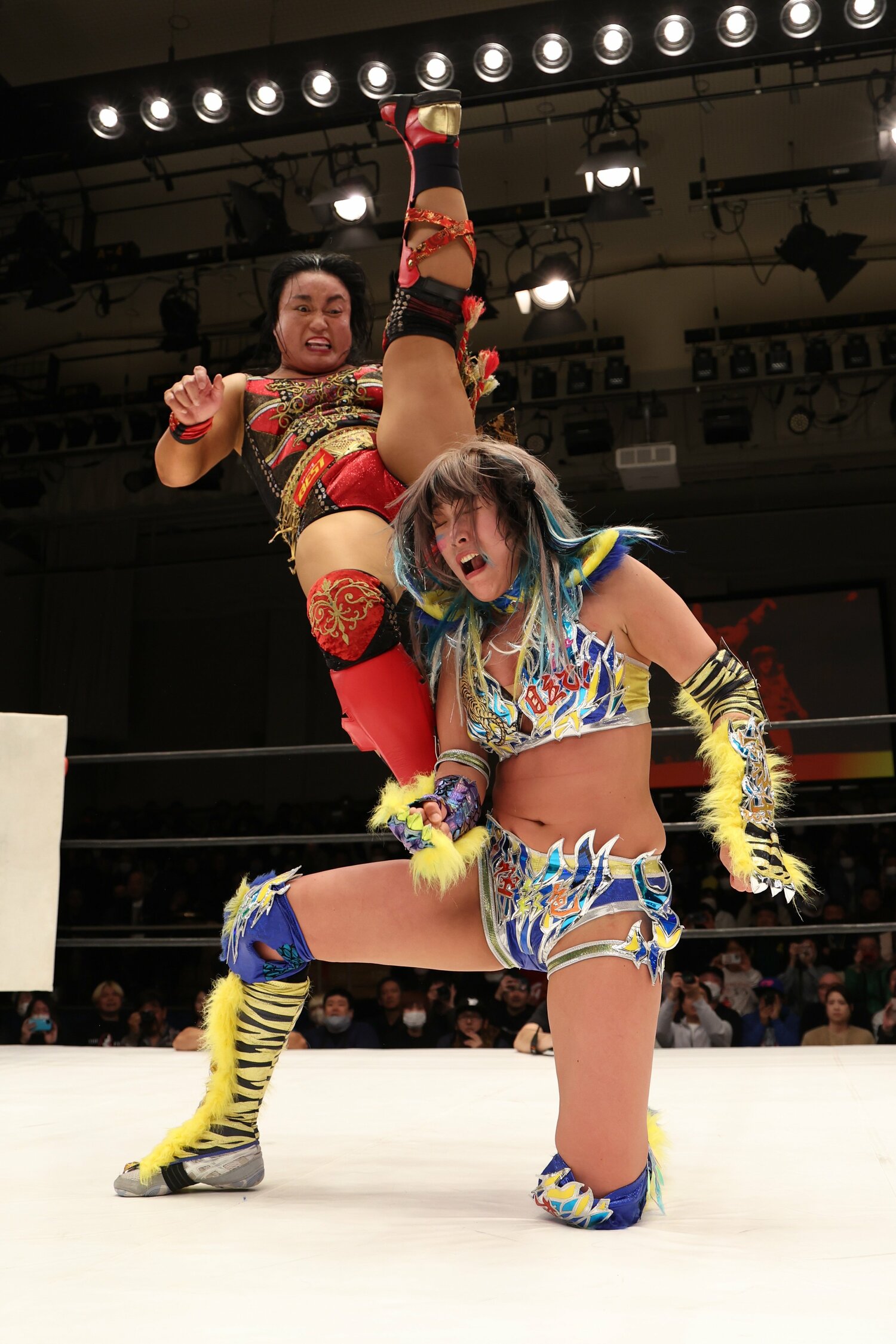 里村に敗れたウナギだが、後楽園ワンマッチ超満員という快挙を成し遂げた ©本人提供