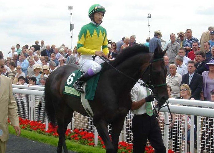 05年のインターナショナルSに挑戦し、2着となったゼンノロブロイ。鞍上は武豊 ©Satoshi Hiramatsu