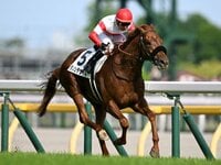 【希少】AVANTI　アバンティー　第39回宝塚記念　サイレントスズカ　Sサイズ サイレンススズカ｜3分でわかった気になる名馬 JRA