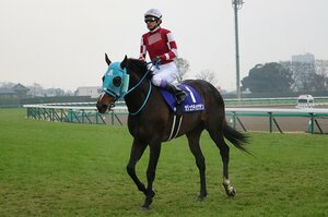 武豊が「感動した」オジュウチョウサンの有馬記念