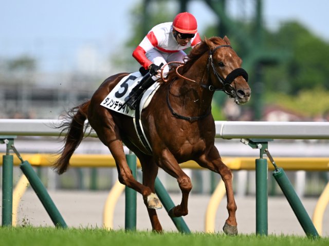 もしあのまま皐月賞に出ていたら…ダノンデサイルをダービー制覇に導い