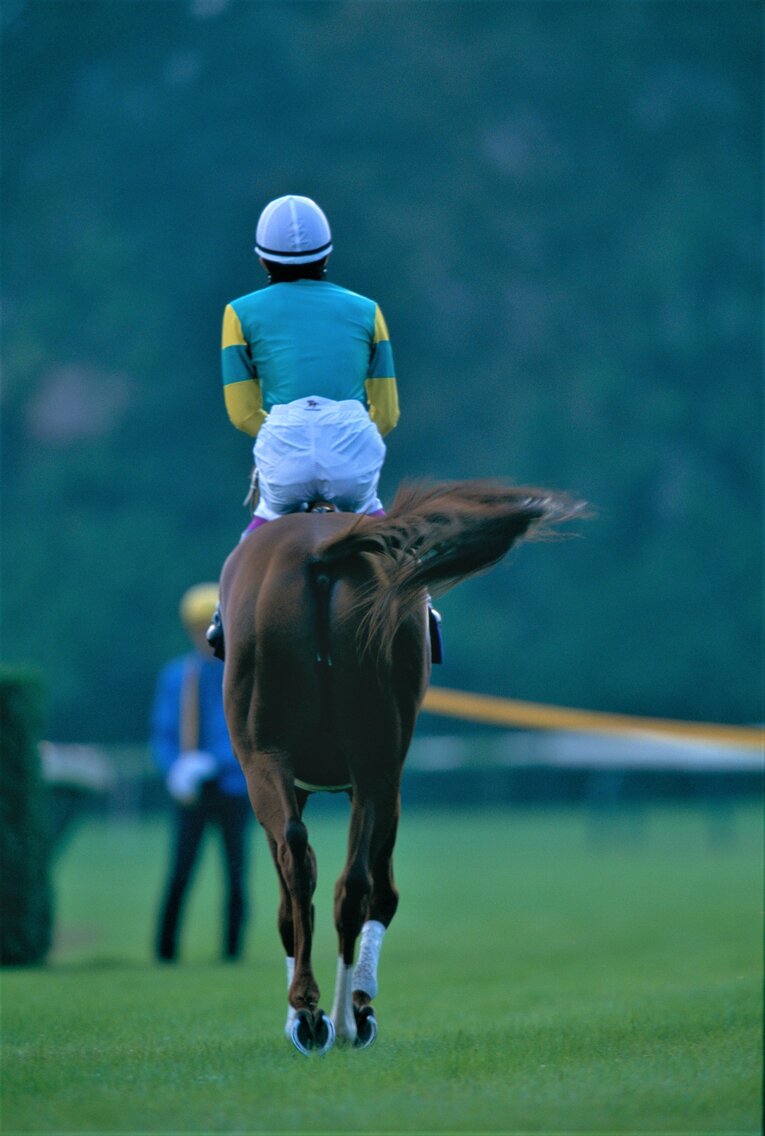 天皇賞出走直前のサイレンスズカと武の後ろ姿　©Tomohiko Hayashi