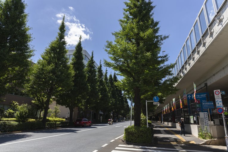 候補は5駅…「国立競技場どこが“最寄り駅”か」問題　JR千駄ケ谷駅に中央線快速が止まらないナゾ《東京五輪》(15)