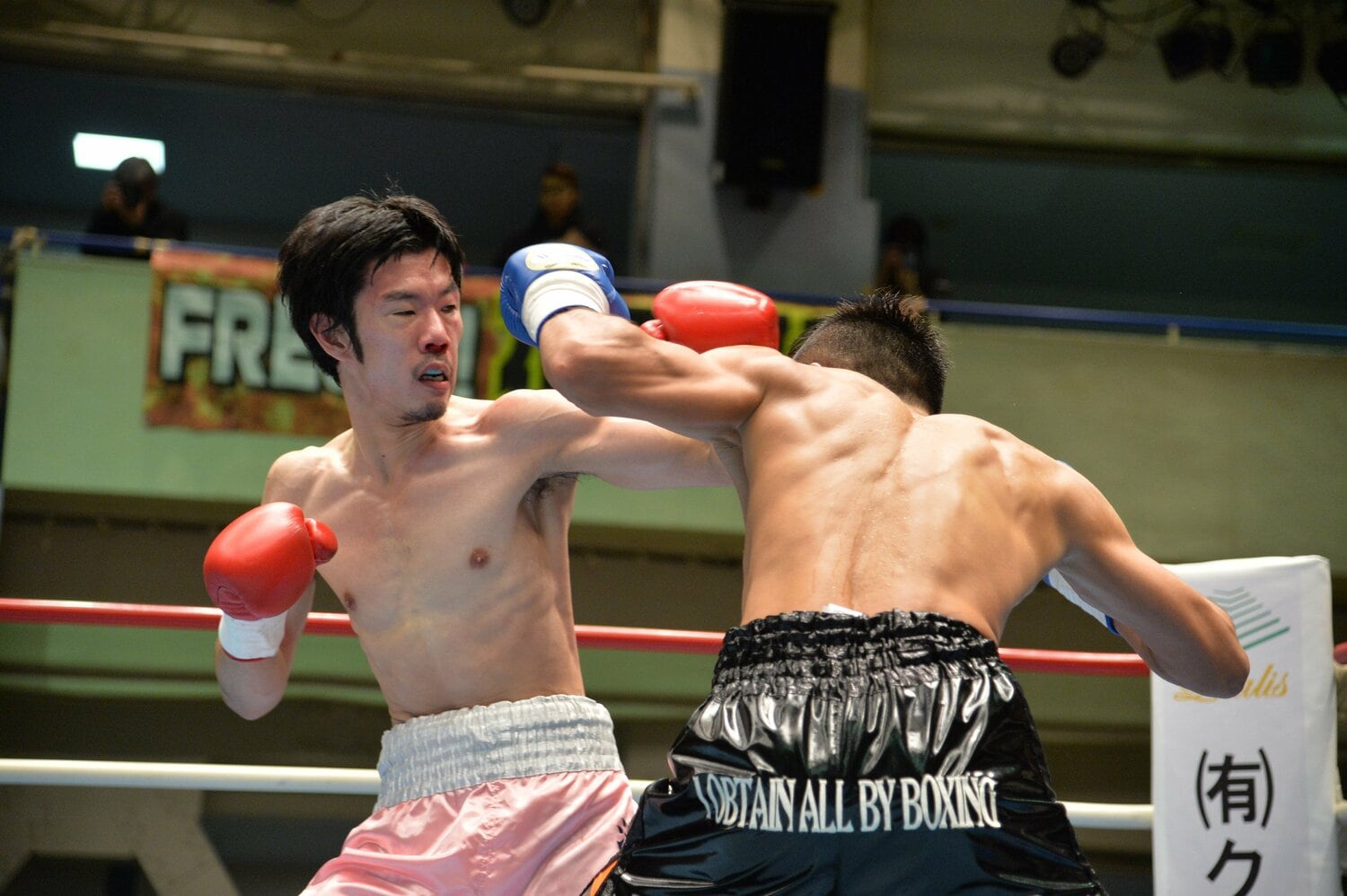 現役弁護士ボクサーとして活躍した坂本さん(2015年撮影)©︎Sankei Shimbun