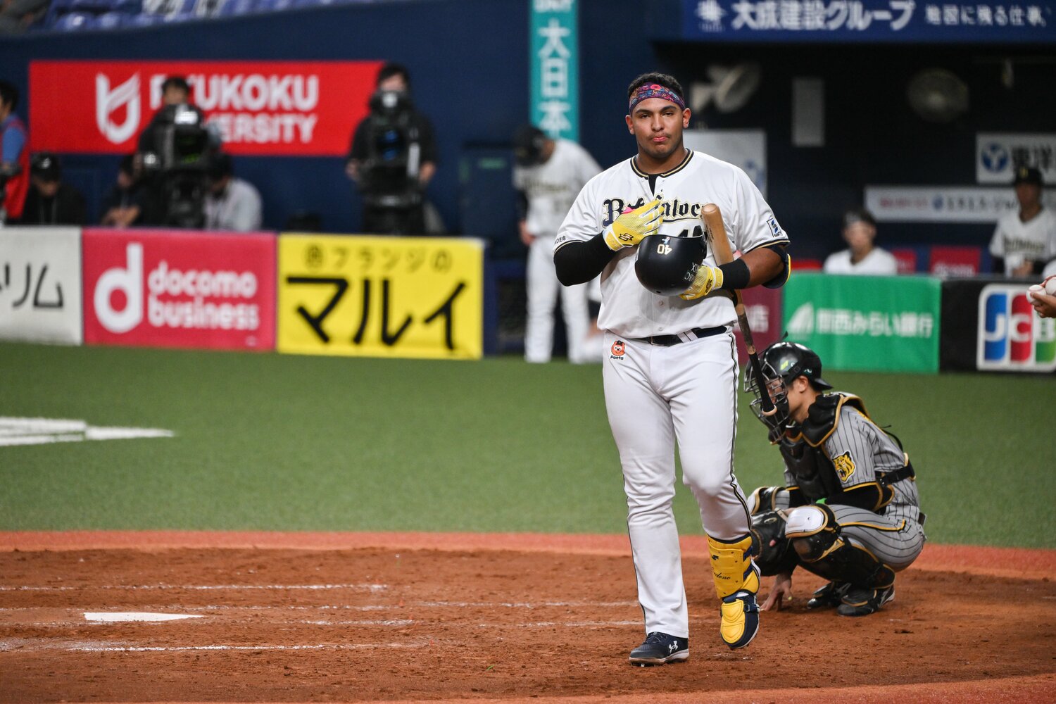 セデーニョ　©Nanae Suzuki