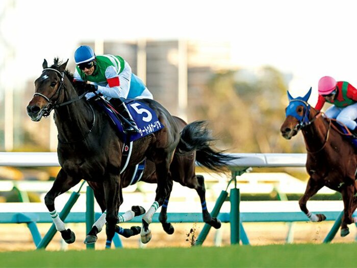 ＜第79回皐月賞プレビュー＞サートゥルナーリア「父の限界を超えていけ」＜Number Web＞ photograph by Photostud