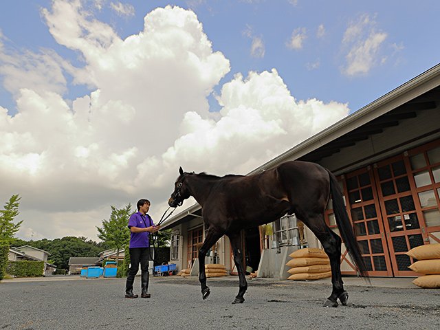 宝塚記念に登場する「最強の1勝馬」。2着7回のエタリオウが今度こそ