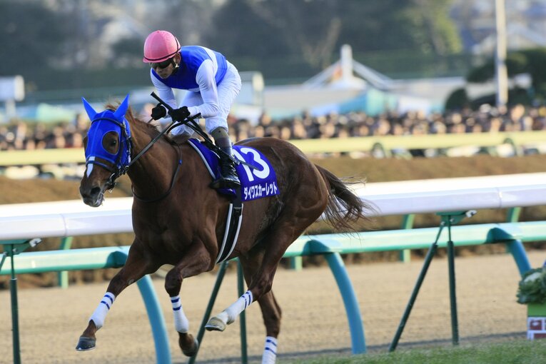 ダイワスカーレットのラストランとなった2008年の有馬記念（1着）　©Tomohiko Hayashi