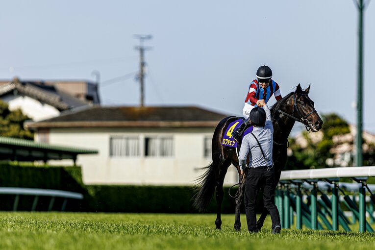 ロブチェンのウイニングラン　©Kiichi Matsumoto