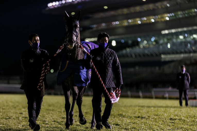 《有馬記念》エフフォーリアと横山武史は“とにかく強かった”…苦境の若武者を救った一言「武史が一番上手いから、信じて乗ってこい」(36)