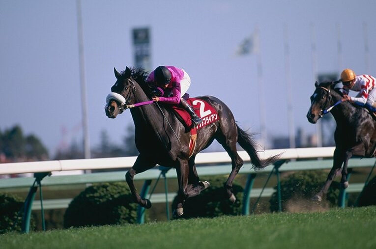 ナリタブライアン ／ photograph by Tomohiko Hayashi