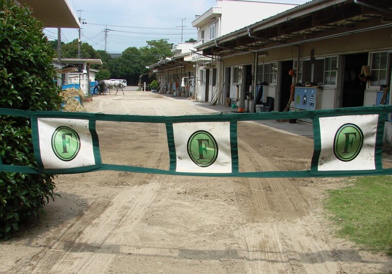 藤沢和雄調教師が導入した放馬止め　©Satoshi Hiramatsu