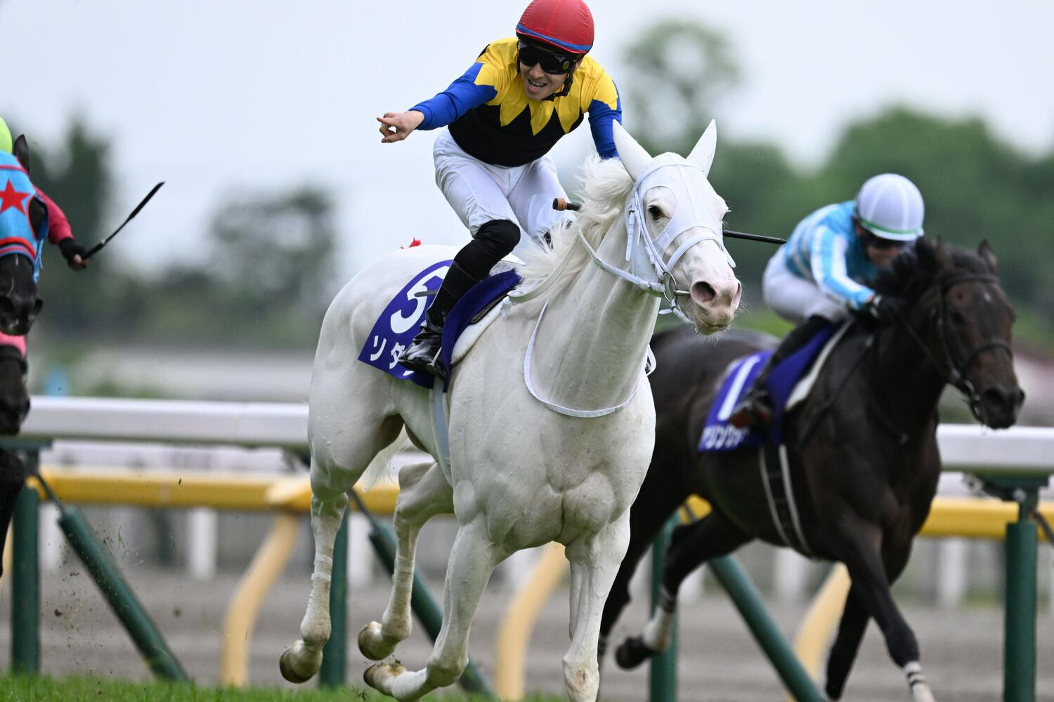 ヴィクトリアマイル（GI）を制しGI3勝目を挙げた白毛の女王ソダシと吉田隼人　©Keiji Ishikawa