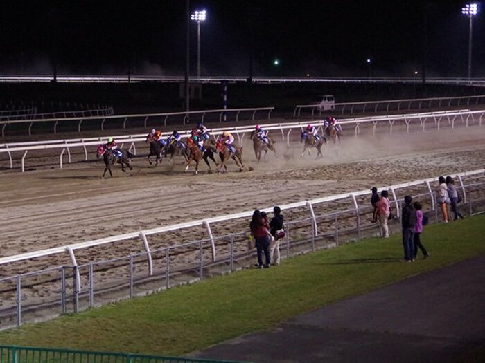 なぜ門別競馬場は黒字化できたのか。ネットの力と、馬産地独自の魅力。＜Number Web＞ photograph by Akihiro Shimada