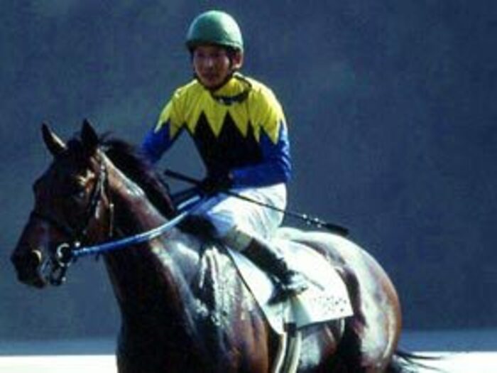 ハイレベルなレースが予想される秋競馬。＜Number Web＞ photograph by Yoshihiro Fujioka