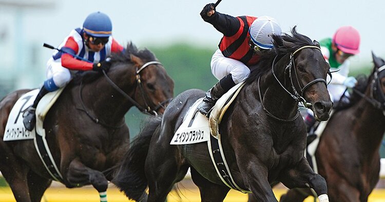 かなりヤンチャで怪獣みたい」“7番人気の伏兵”エイシンフラッシュが