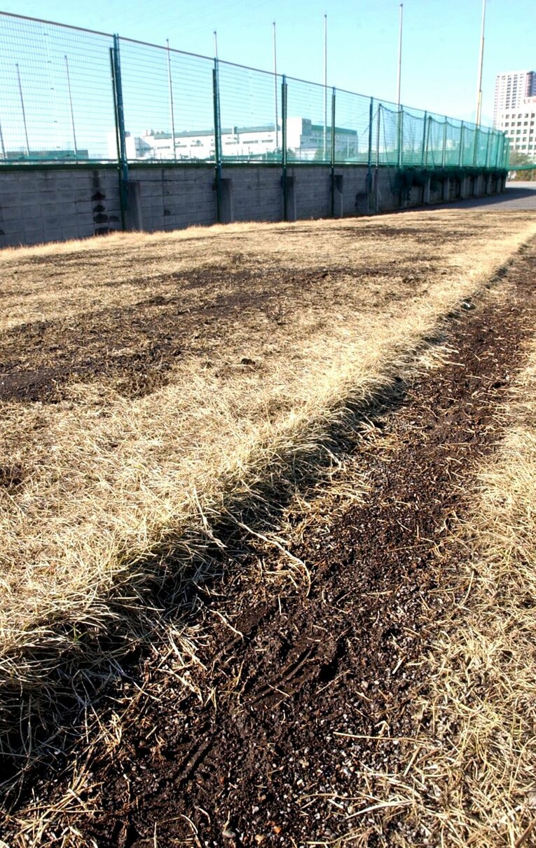 禿げる芝が壮絶な走り込みを物語る、浦和球場の「黒木ロード」　©︎Sankei Shimbun