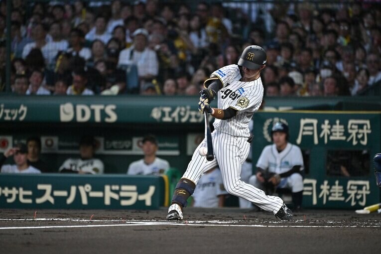 ©︎Hideki Sugiyama 