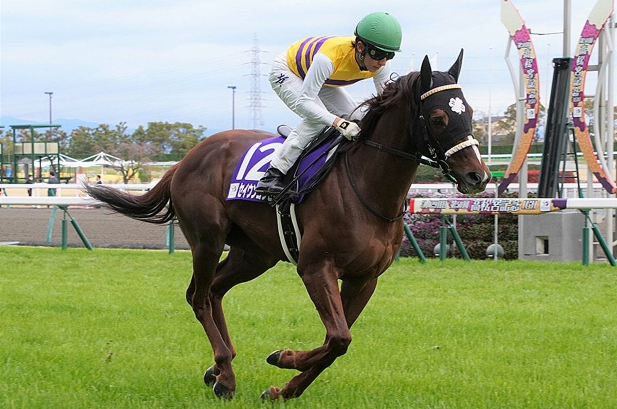 まだまだ見限るのは早い セントウルsはあの 古豪 が大暴れの予感 競馬 Number Web ナンバー