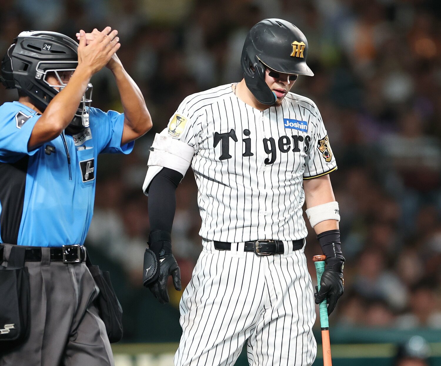 8月30日、巨人戦で死球を受けて顔をしかめる佐藤輝明。これが今季2度目の死球だった ©JIJI PRESS