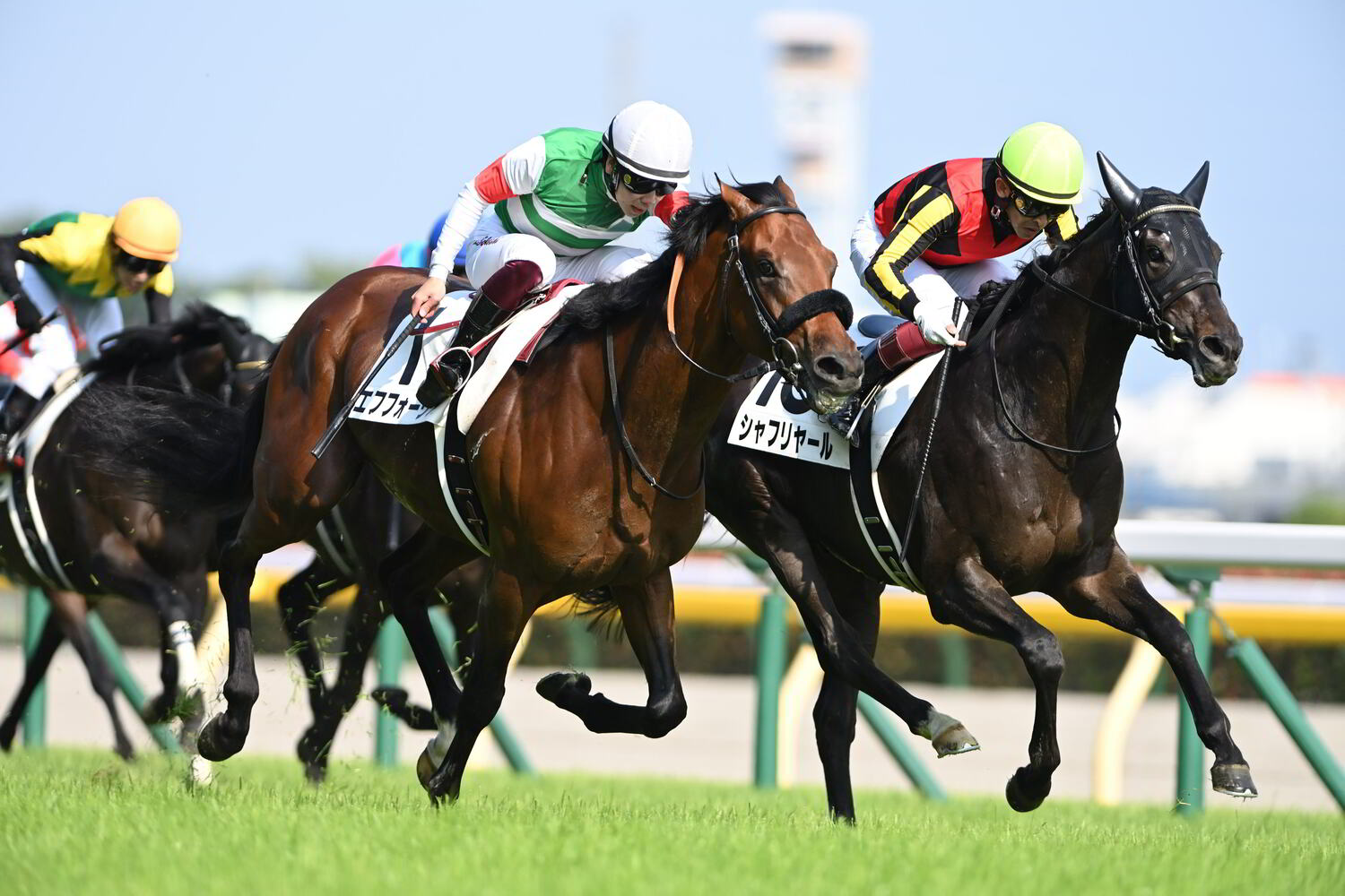 日本ダービーのゴール前、エフフォーリアを差し切ったシャフリヤール　©Keiji Ishikawa