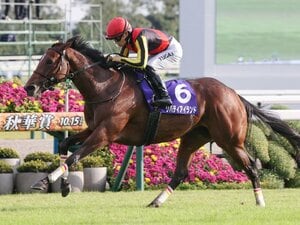 「誰も責められるべきではない」リバティアイランドの死を悼む「目をキラキラさせ、カメラにポーズを…」取材者が見た“強く、愛らしい名牝”の素顔