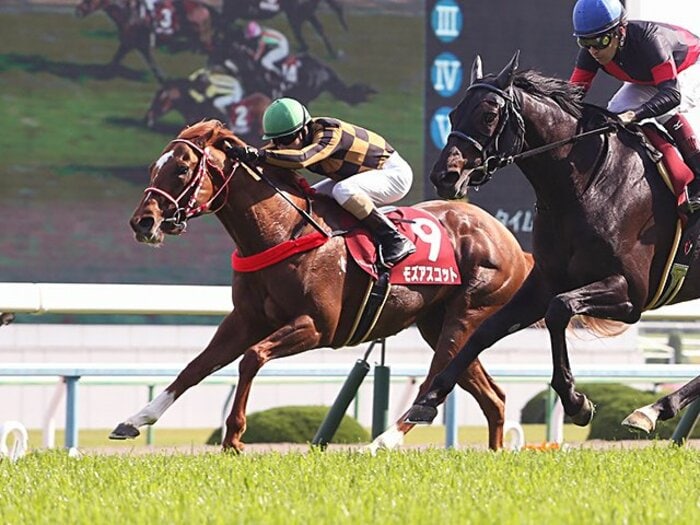 競走馬は連闘でこそ能力を発揮する!?安田記念注目の超良血馬と矢作師。<Number Web> photograph by NIKKAN SPORTS