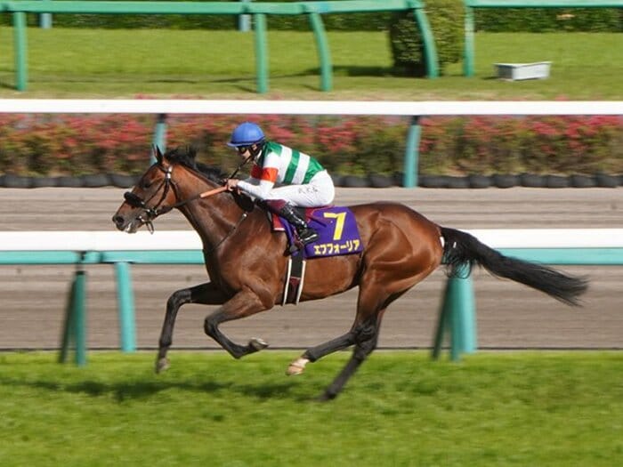 エフフォーリアのダービーは「不安がないわけではありません。でも…」（鹿戸師） “体質が弱かった”馬が“無敗皐月賞馬”になるまで＜Number Web＞ photograph by Satoshi Hiramatsu