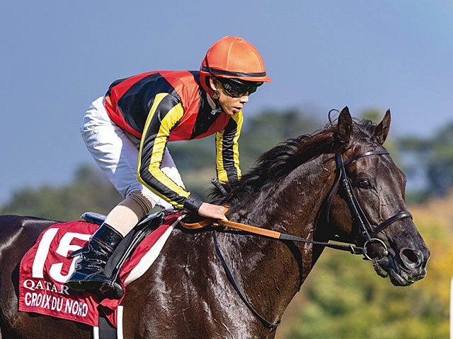 凱旋門賞速報］クロワデュノールほか「気まぐれな空模様に阻まれて