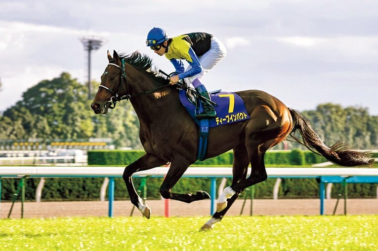 2005年菊花賞のディープインパクト　©︎Photostud