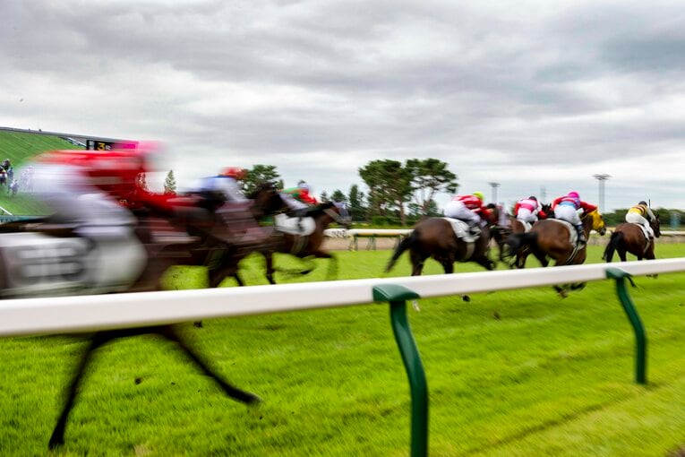 新潟競馬場にて ／ photograph by photostud