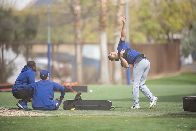 【2025年最新版・ショウヘイの愛される日々／随時更新。40枚超】　©Nanae Suzuki