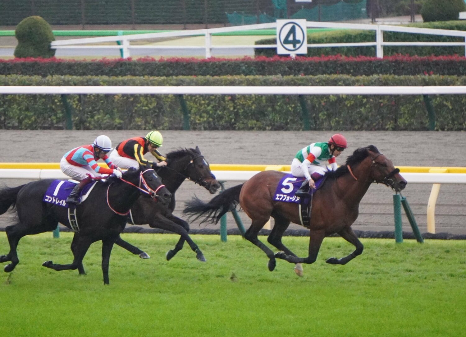 天皇賞・秋をコントレイル、グランアレグリアを破って勝利したエフフォーリアと横山武史 ©Satoshi Hiramatsu