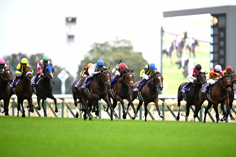 タスティエーラ（写真中央・赤帽）は2024年の天皇賞・秋でドウデュースの2着。復活の兆しを見せた　©Keiji Ishikawa