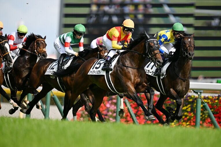1番人気のジャスティンミラノは2着に敗れた　©Keiji Ishikawa