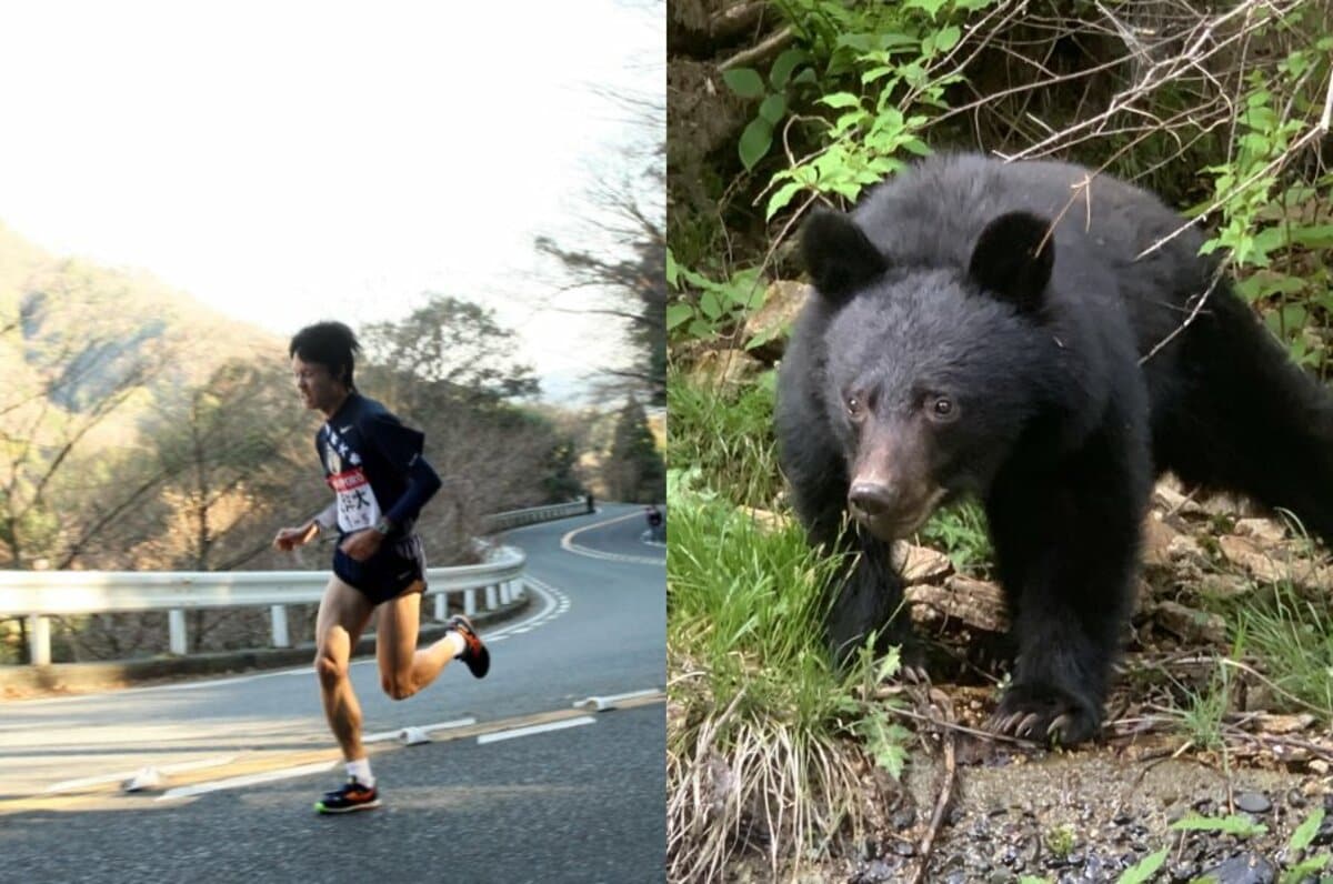 箱根駅伝〉山上りの5区にクマはいる？「戦前に絶滅したはずが…」約70年