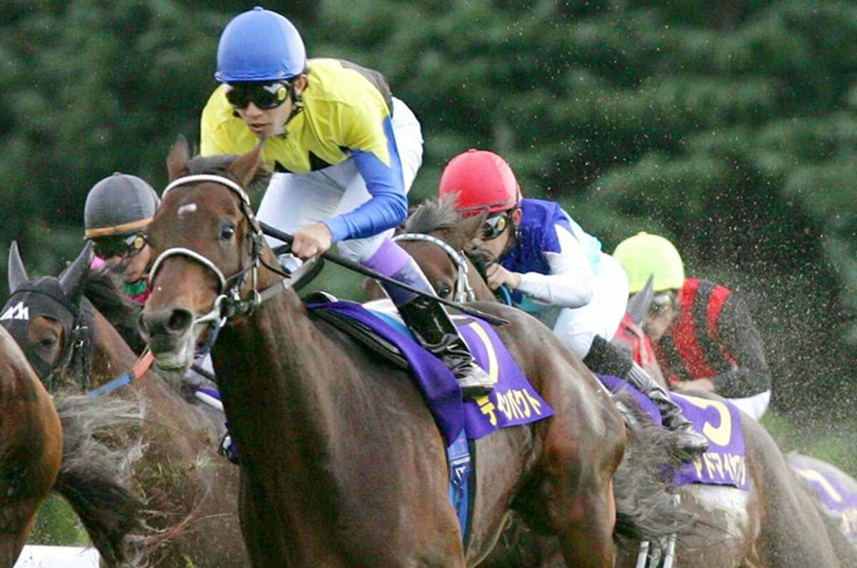 Amazon.co.jp: JRA 競馬 ディープインパクト 武豊 菊花賞