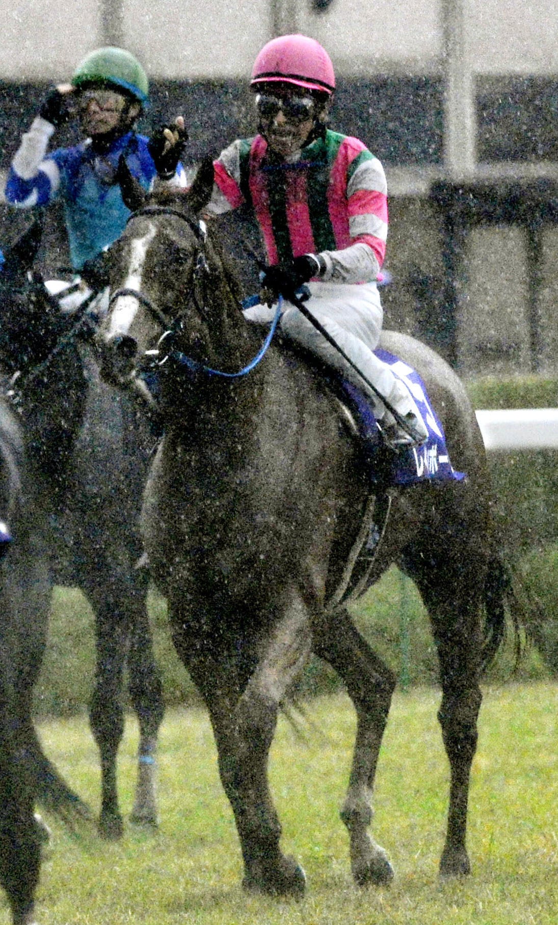 レース後に柴田善臣が見せた小さなガッツポーズ　©KYODO