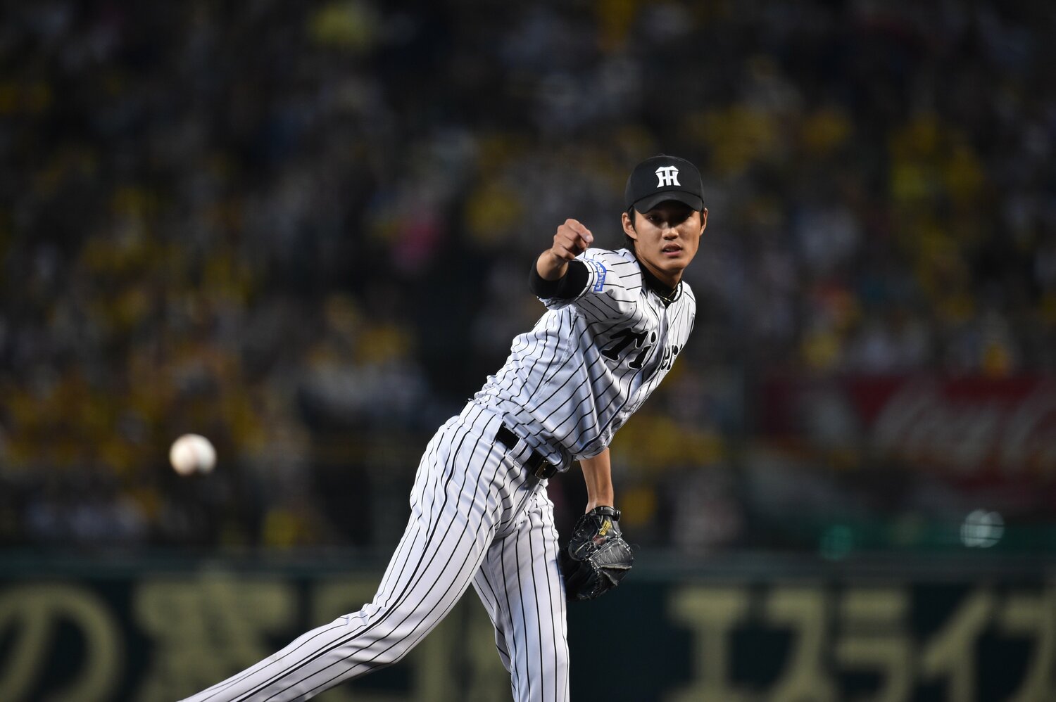 2015年撮影 ©Hideki Sugiyama