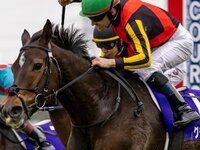 追悼》タイキシャトルは日本競馬史上もっとも偉大なマイラーだった